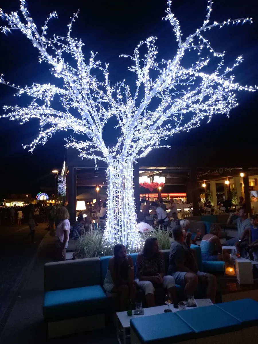 Ristorante Pizzeria Maxim - terrazza con albero illuminato la sera